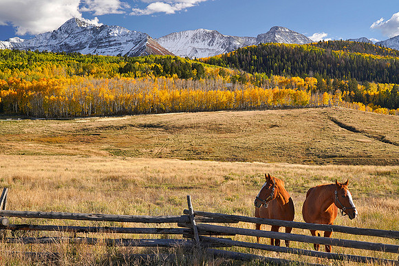 Fall Colors 21, CO