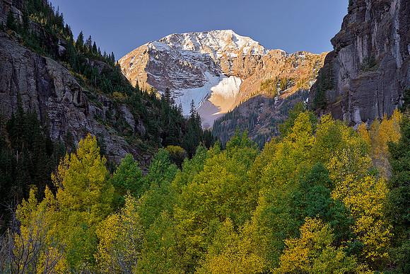 Fall Colors 31, CO