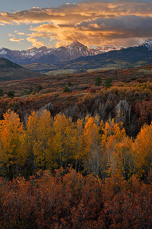 Fall Colors 41, CO