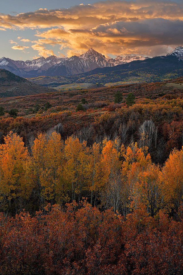 Fall Colors 41, CO