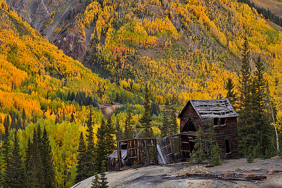 Fall Colors 45, CO
