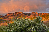 Cimarron sunset 32