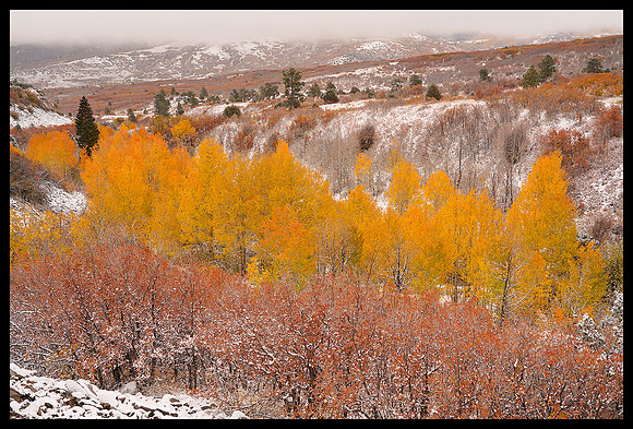 Dallas Divide fall colors 1