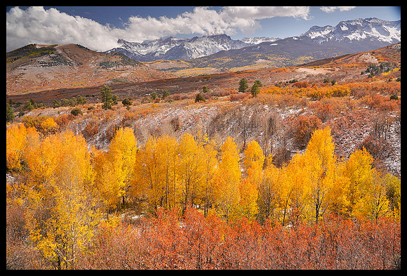 Dallas Divide fall colors 5
