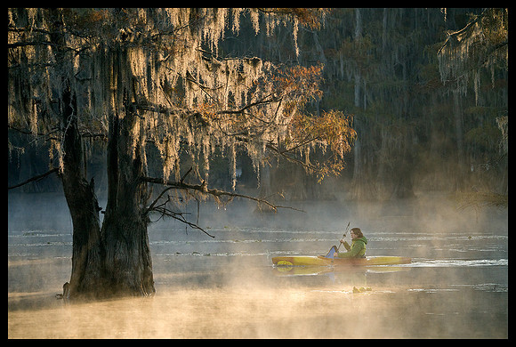 TX, Cypress trees kayaker