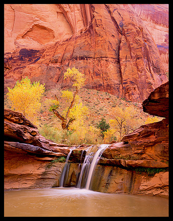 Coyote Gulch (P111)