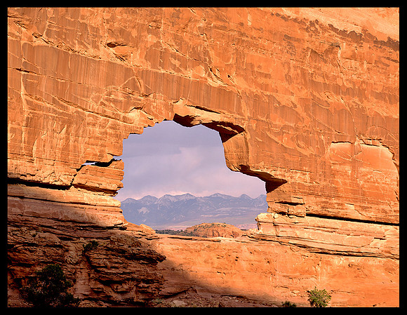 Jeep Arch (P194)