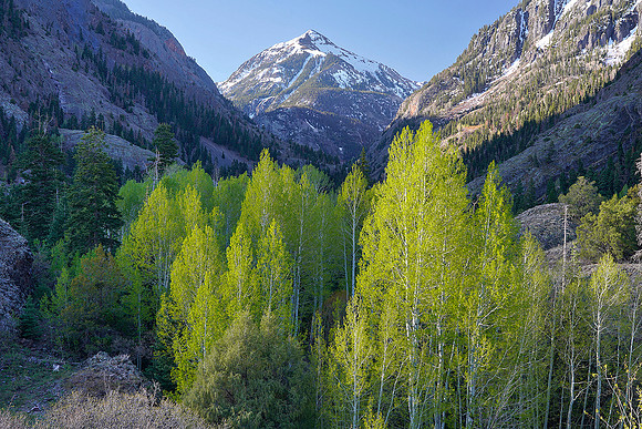 Abrams Mountain 1, CO