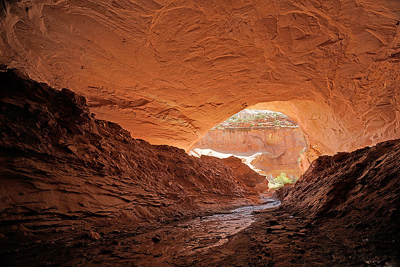 Alcove 3