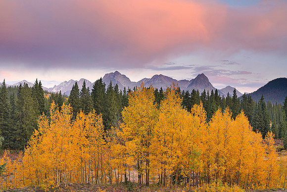 Fall Colors 76