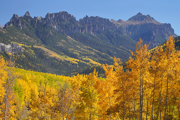 Fall Colors 80