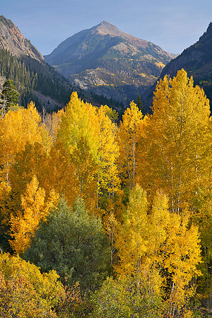 Fall Colors 81