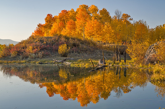 Fall Colors 85