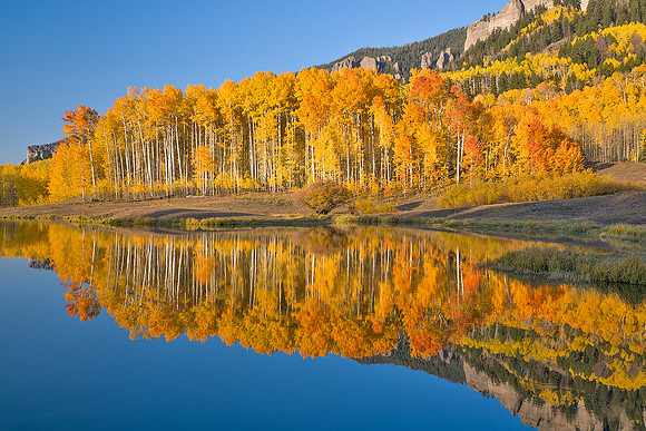Fall Colors 87