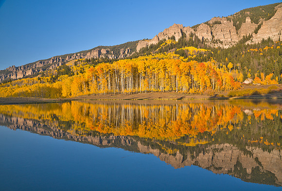 Fall Colors 88