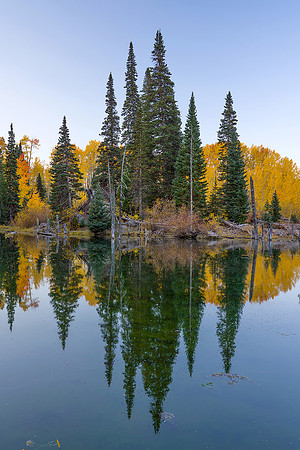 Fall Colors 95