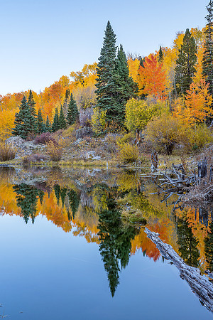 Fall Colors 96