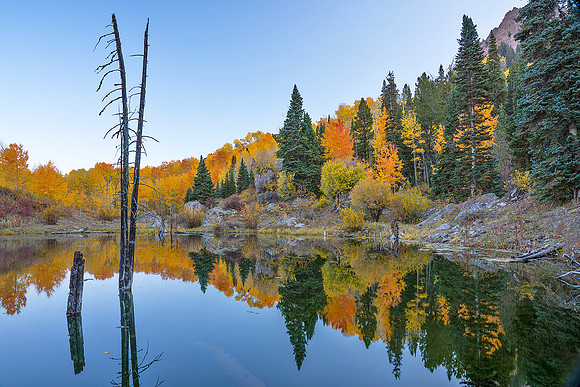 Fall Colors 97