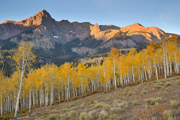 Fall Colors 98