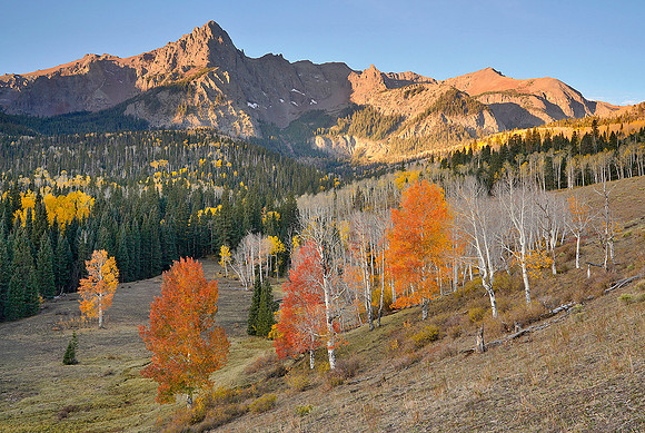 Fall Colors 100