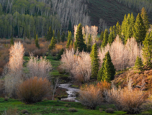 San Juan sunrise 8, CO