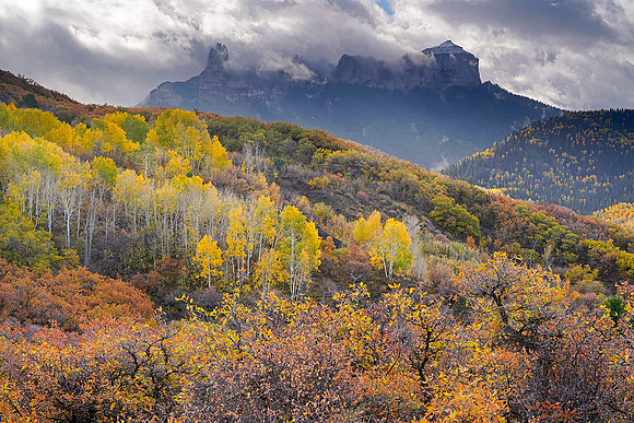 Fall Colors 7, CO