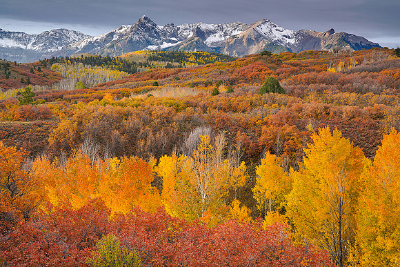 Fall Colors 6, CO