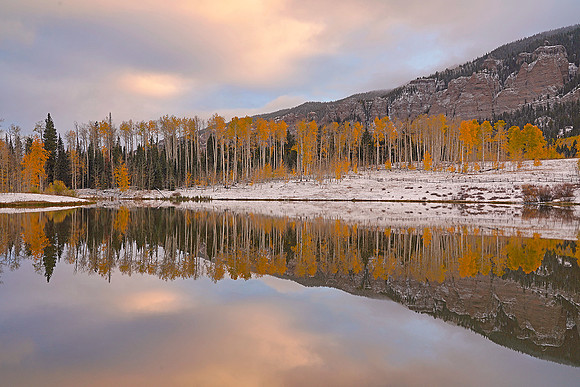 Fall Colors 19, CO