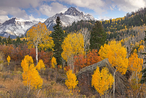 Fall Colors 13, CO