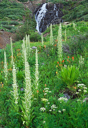 Waterfall 3, CO (5)