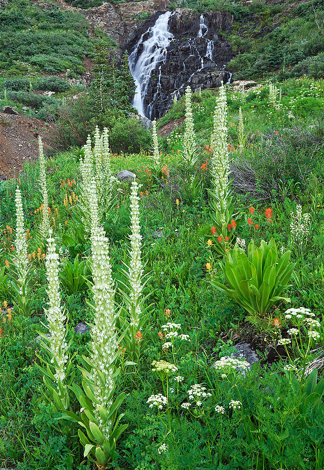 Waterfall 3, CO (5)