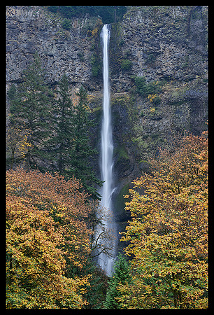 Multnomah Falls 3