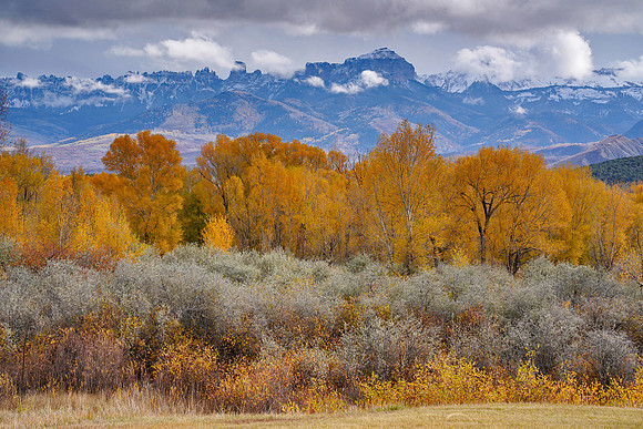 Fall Colors 254