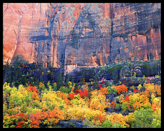 Zion N.P. - Big Bend (C16)
