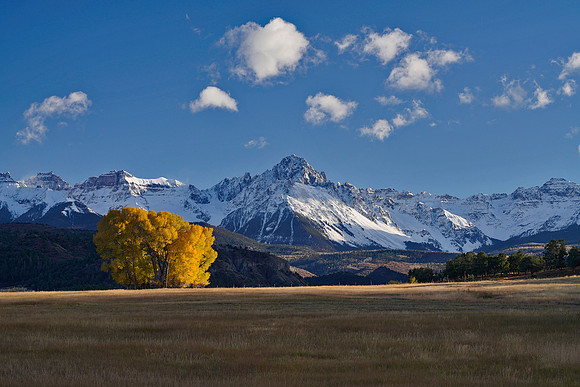 CO, Fall Colors 4