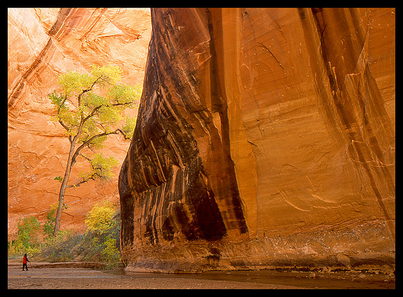Coyote Gulch 2, UT