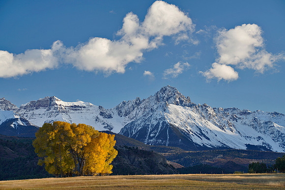 Fall Colors 251