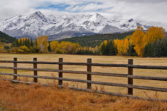 Fall Colors 247