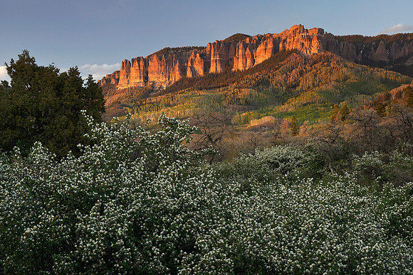 Cimarron sunset 35