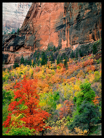 Zion N.P. (P125)
