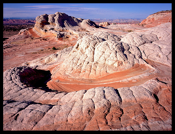 White Pocket (P216)