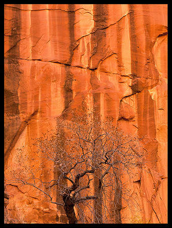 Coyote Gulch 3