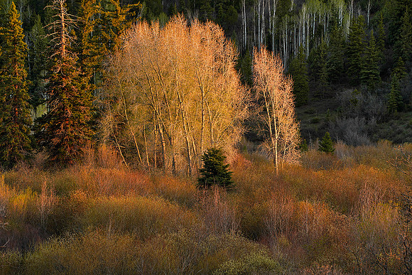 CO, San Juan sunset 5