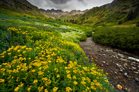 American Basin 9