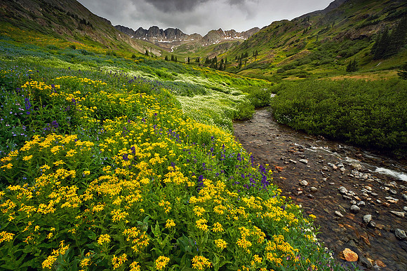 American Basin 9
