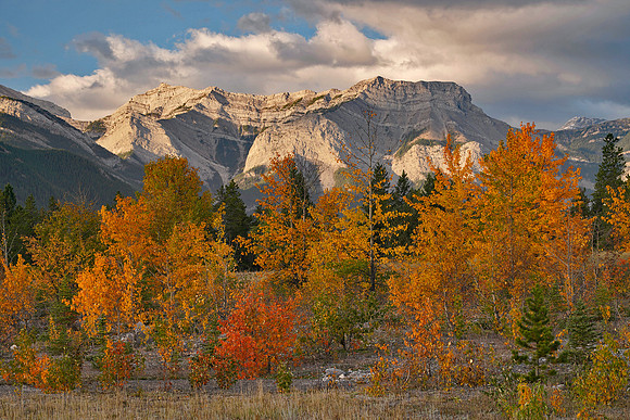 Kananaskis area sunrise 15