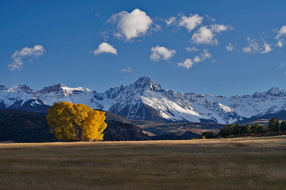 Fall Colors 250