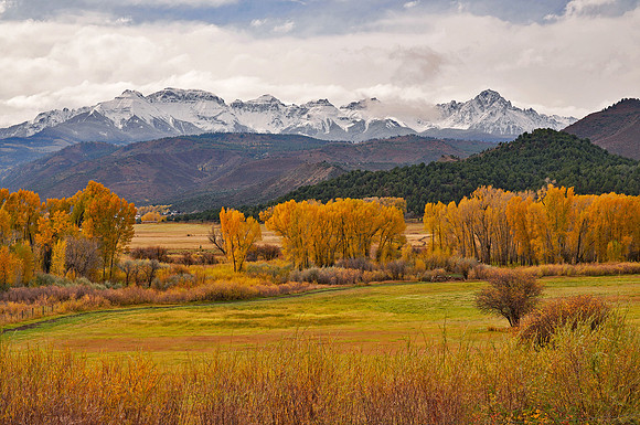 Fall Colors 248