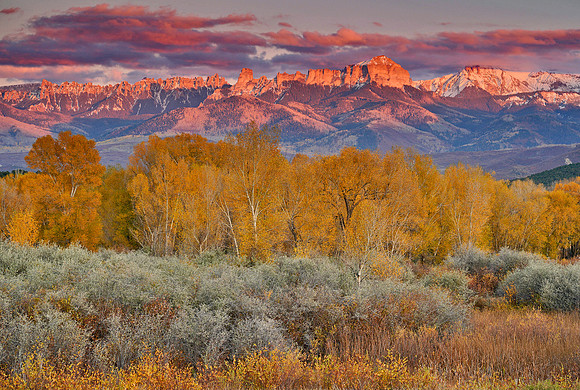 CO, Fall Colors 13