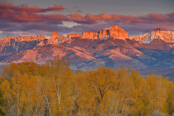 Fall Colors 255